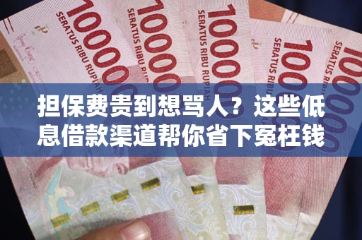 北京担保费贵到想骂人？这些低息借款渠道帮你省下冤枉钱