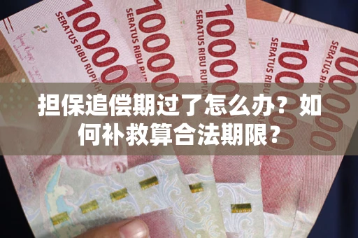 北京担保追偿期过了怎么办？如何补救算合法期限？